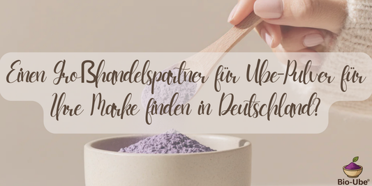 Einen Großhandelspartner für Ube-Pulver für Ihre Marke finden in Deutschland?