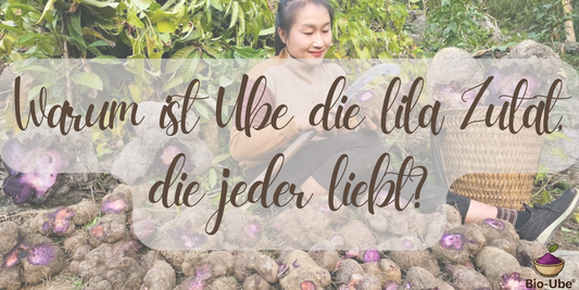 Warum ist Ube die lila Zutat, die jeder liebt?
