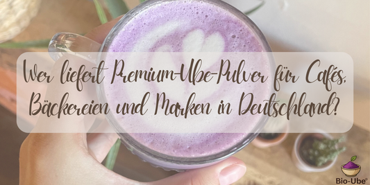 Wer liefert Premium-Ube-Pulver für Cafés, Bäckereien und Marken in Deutschland?
