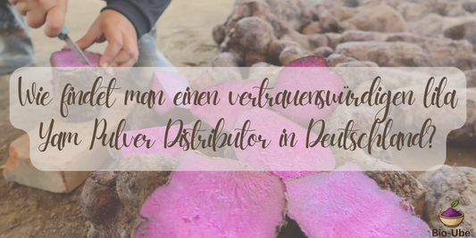Wie findet man einen vertrauenswürdigen lila Yam Pulver Distributor in Deutschland?