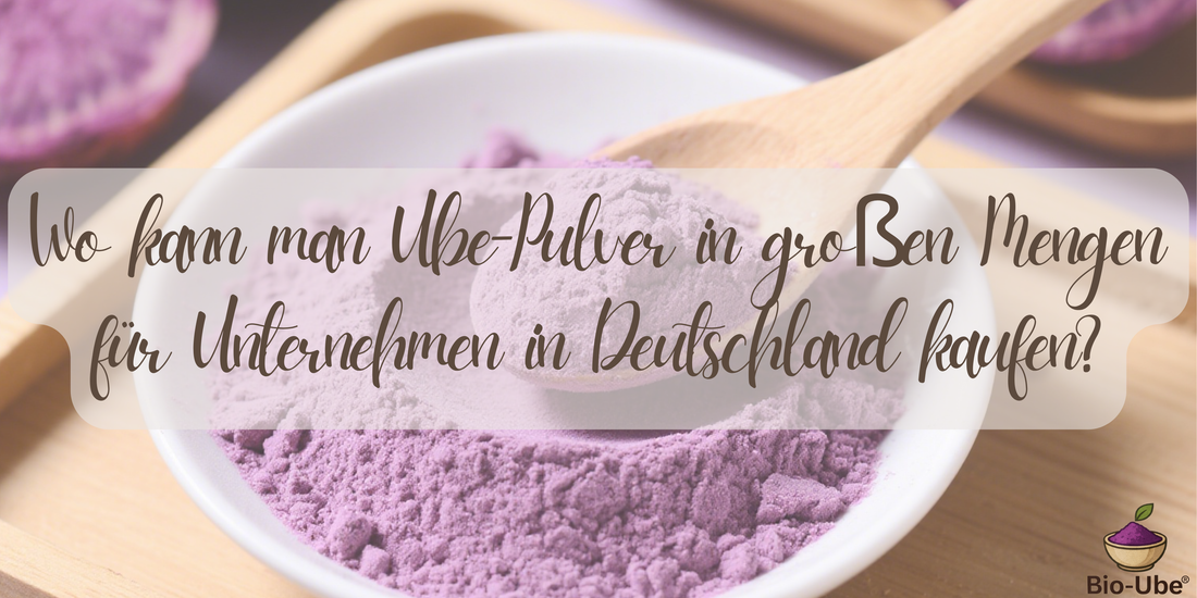 Wo kann man Ube-Pulver in großen Mengen für Unternehmen in Deutschland kaufen?